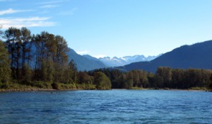 skagit-river-fishing